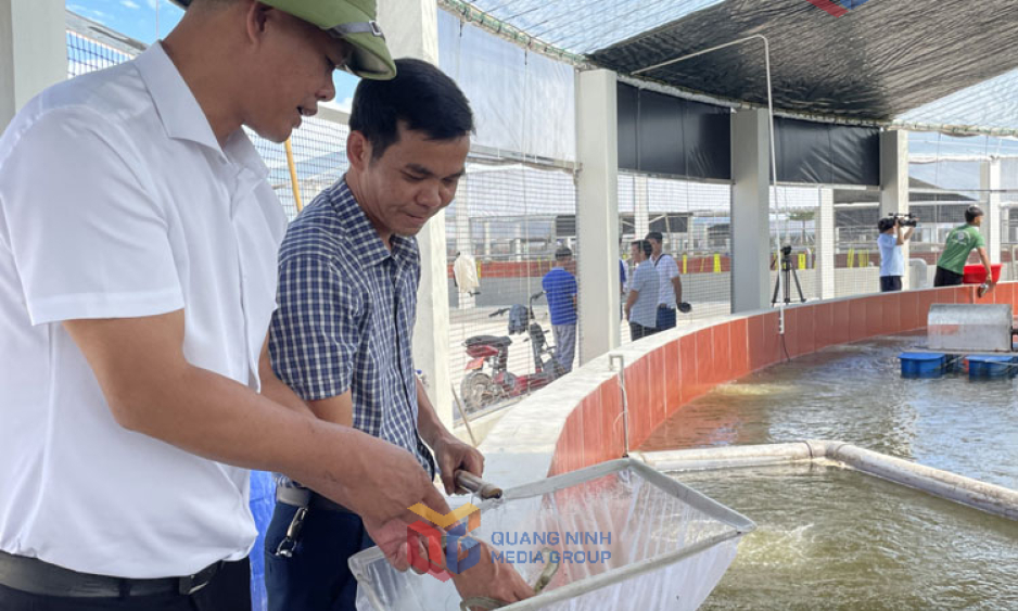 Chuyển đổi số trong công tác khuyến nông