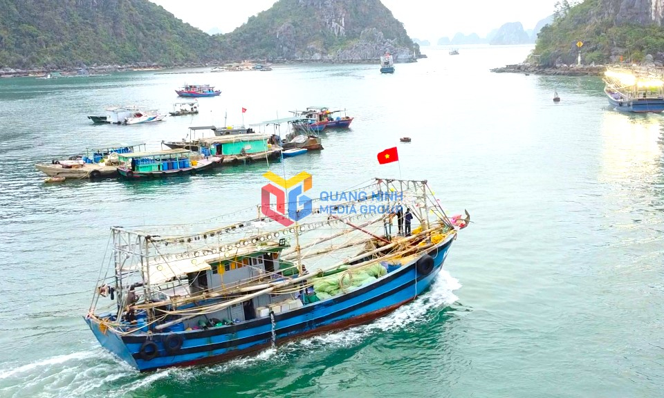 Các tàu thuyền đã về nơi tránh trú bão an toàn