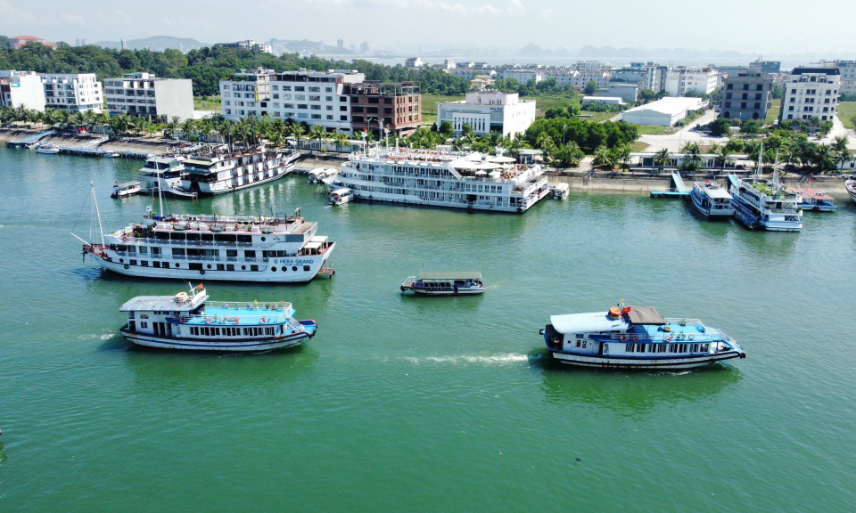 Bản tin Quảng Ninh ngày 24/8/2025