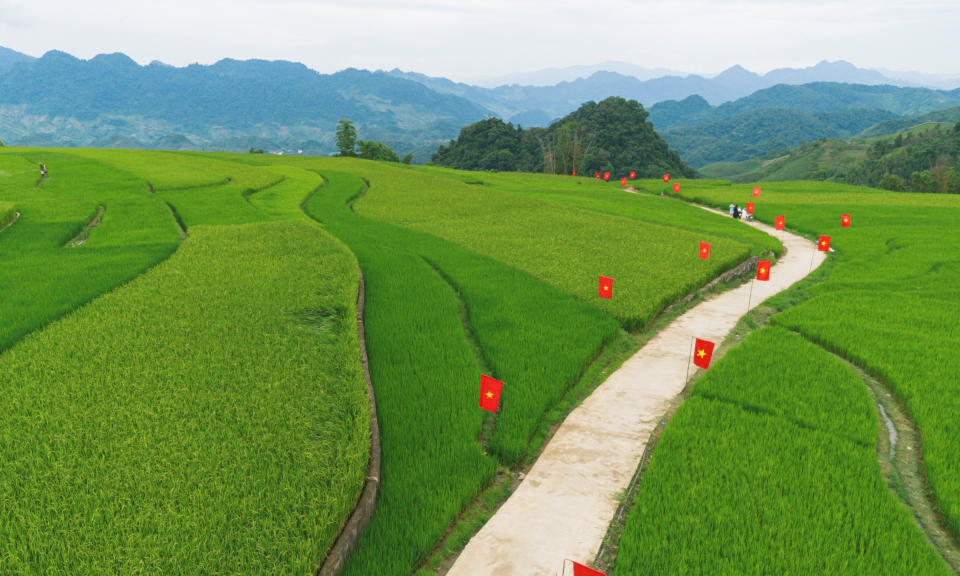 Check in con đường cờ đỏ sao vàng giữa đồng lúa Sơn La dịp Quốc khánh