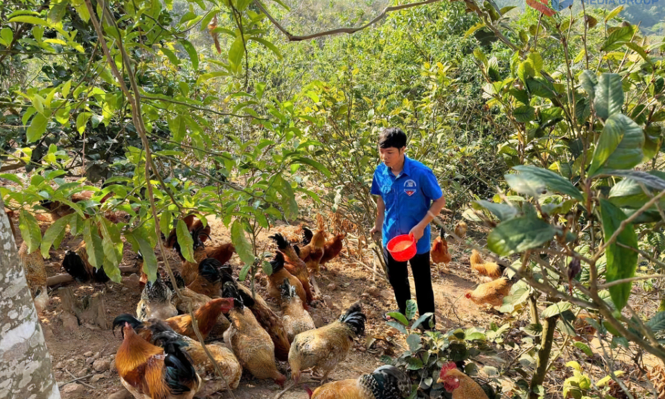 "Chắp cánh" cho thanh niên DTTS lập thân, lập nghiệp