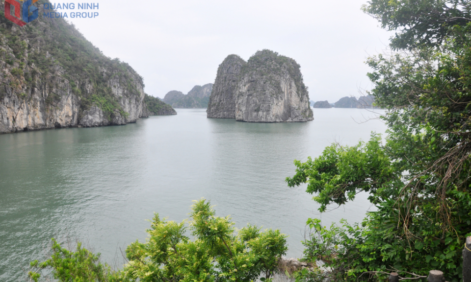 The allure of Hang Co - Vung Vieng in Ha Long bay
