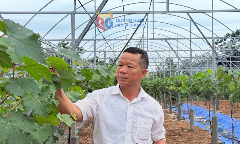 Lan tỏa những gương điển hình 