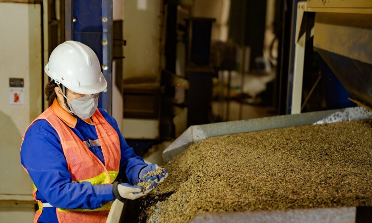 Giá cà-phê Việt Nam đạt mức cao tại thị trường Nhật Bản