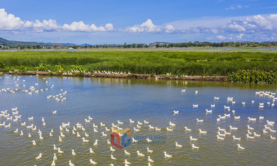 The serenity of Ha Nam island