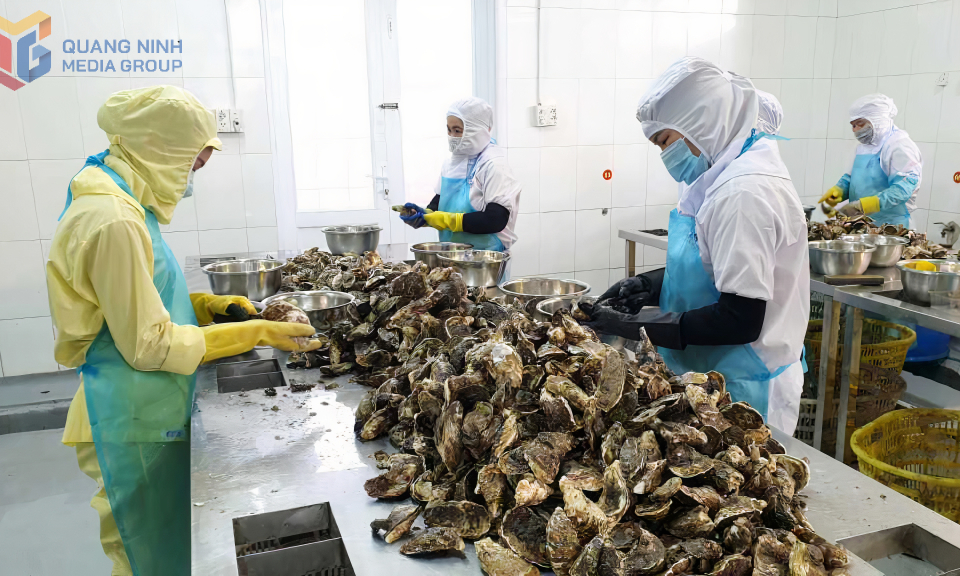 Nông thôn mới Quảng Ninh - Hành trình không có điểm kết thúc