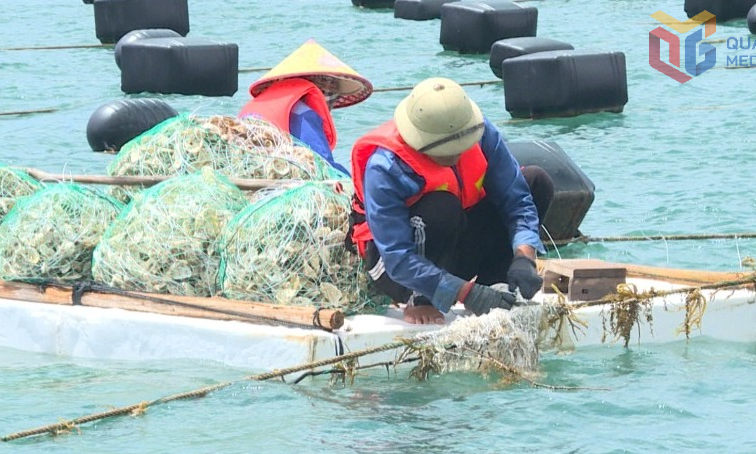 Công nghệ số - nền tảng cho nuôi biển hiện đại