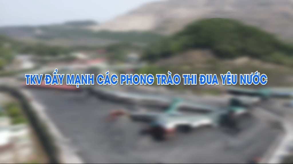 TKV đẩy mạnh các phong trào thi đua yêu nước