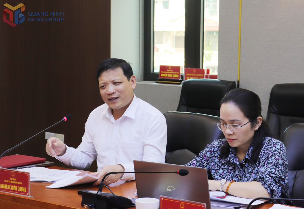 Nghiêm Xuân Cường, Phó Chủ tịch HĐND tỉnh