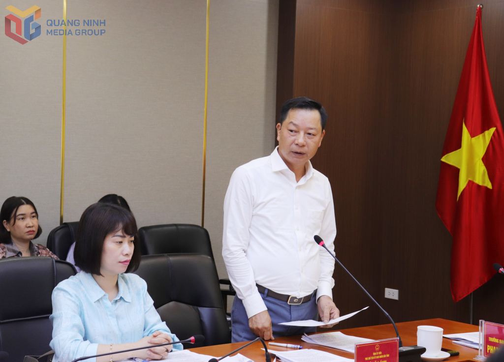 Đồng chí Lê Văn Ánh, Phó Chủ tịch UBND tỉnh phát biểu tại cuộc họp.