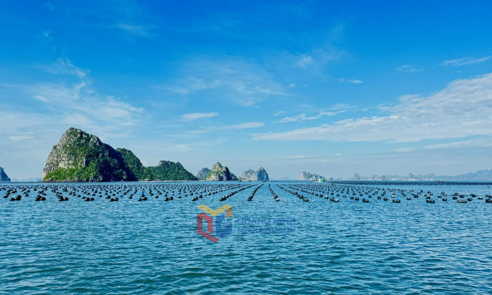 Nuôi trồng thủy sản trên biển tại đảo Thắng Lợi, đặc khu Vân Đồn. Ảnh: Mạnh Trường