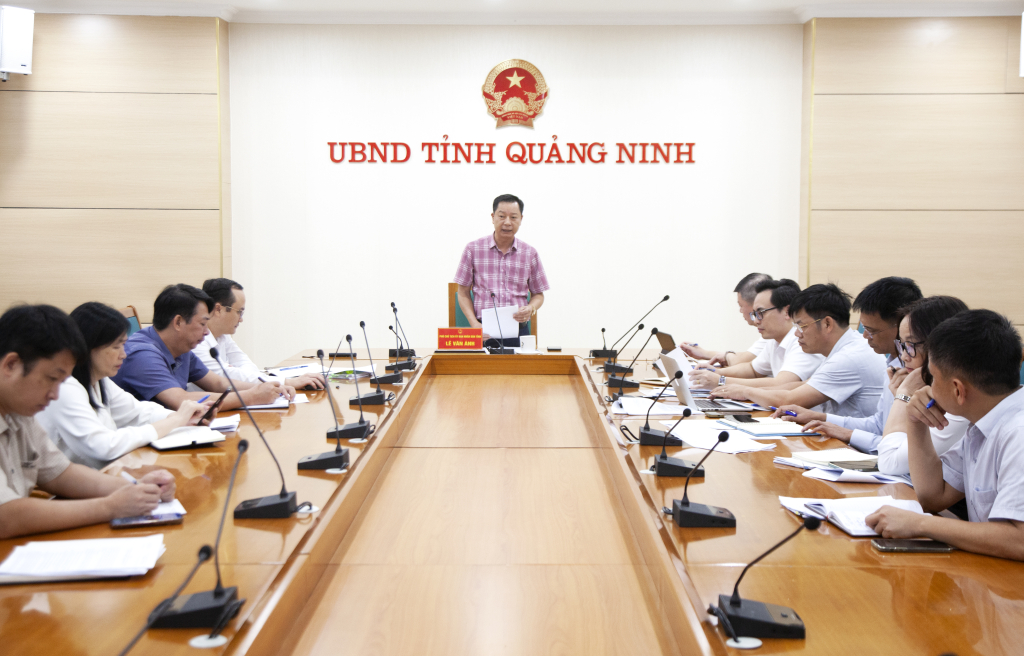 Đồng chí Lê Văn Ánh, Phó Chủ tịch UBND tỉnh chủ trì cuộc họp