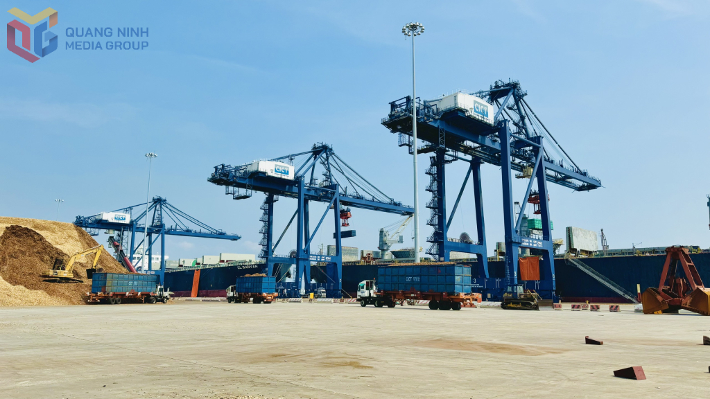 Hoạt động dịch vụ, logistics ở cảng Cái Lân. Ảnh: Mạnh Trường