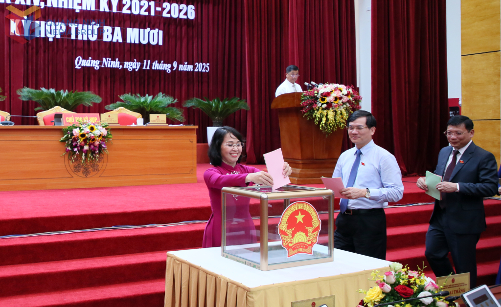 sdf Các đại biểu HĐND tỉnh bỏ phiếu bầu bổ sung chức danh Phó Chủ tịch HĐND tỉnh khóa XIV, nhiệm kỳ 2021 – 2026; bầu bổ sung chức danh Ủy viên UBND tỉnh.