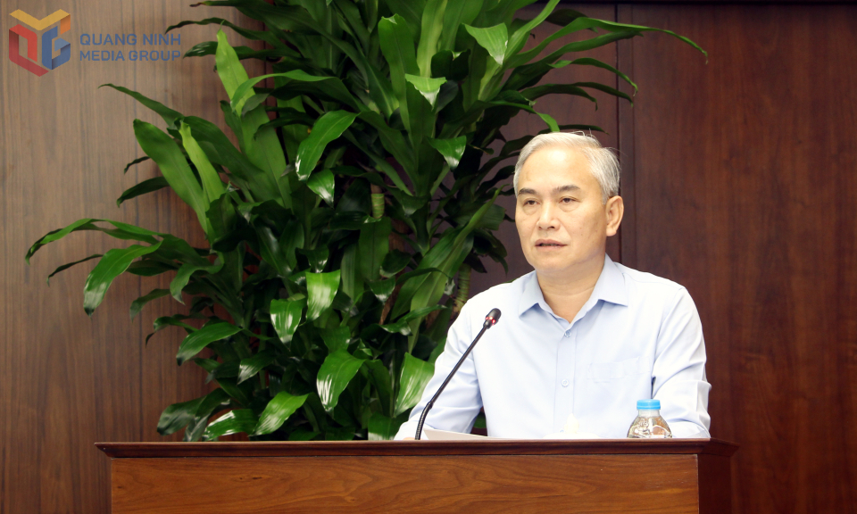 Đồng chí Vũ Anh Tuấn, Phó Bí thư Đảng ủy, Tổng Giám đốc TKV, phát biểu tại buổi làm việc.