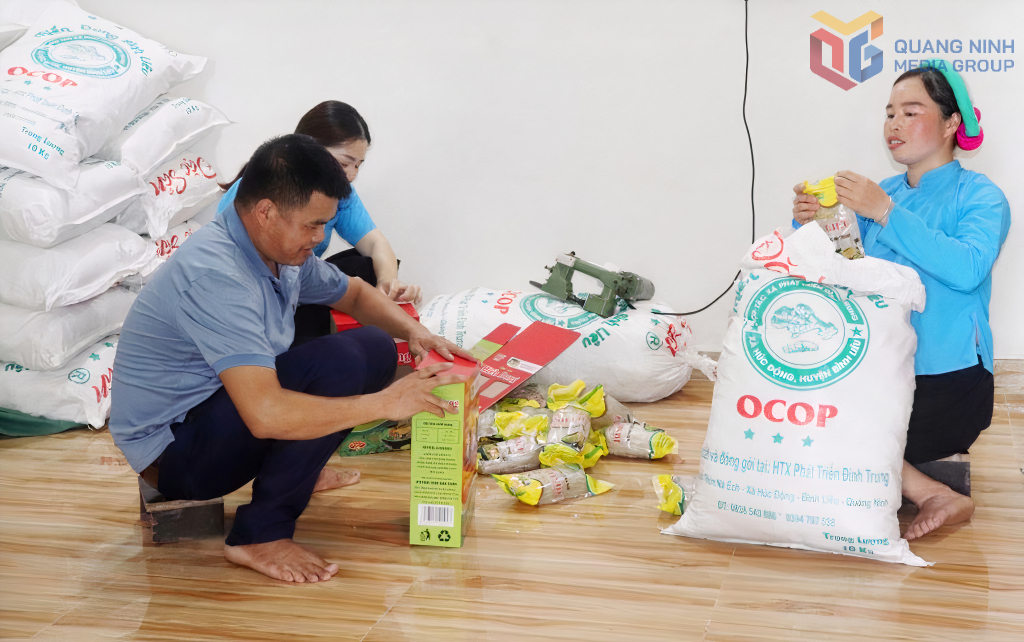Anh La A Nồng cùng thành viên HTX Đình Trung đóng gói các sản phẩm miến dong Bình Liêu.