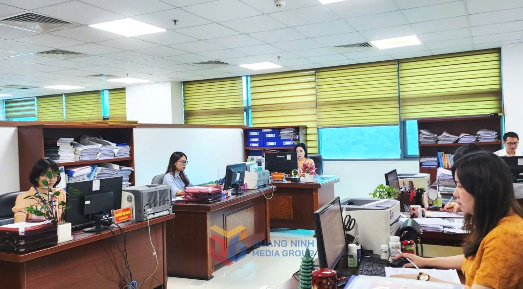 Cán bộ phòng Văn bản và theo dõi thi hành pháp luật (Sở Tư pháp) rà soát, thẩm định văn bản.