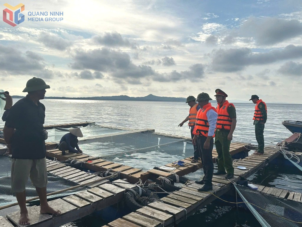 Đồn BP Thanh Lân và Công an Đặc khu, các tổ công tác của Đặc khu triển khai đưa tàu thuyền vào tránh trú bão số 9.