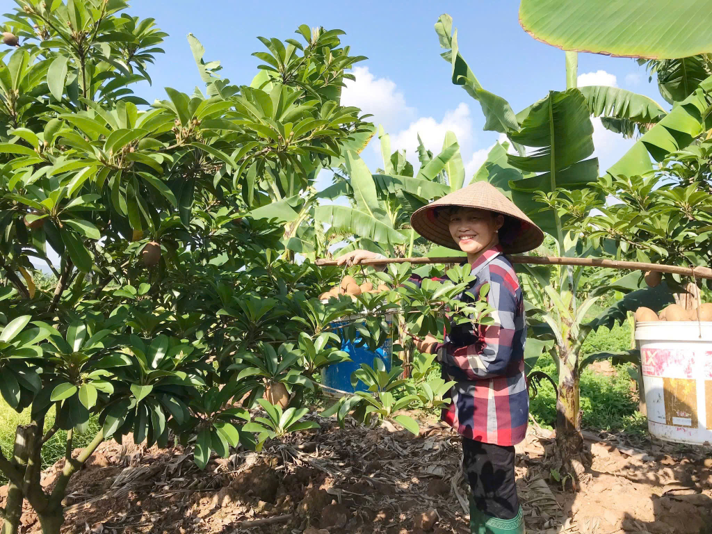 Ảnh với chú thích