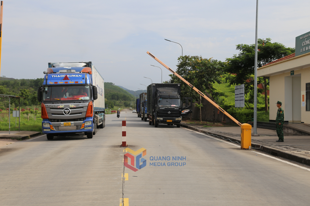 Xuất khẩu hàng hoá qua Lối mở cầu phao tạm Km3+4, phường Móng Cái 3