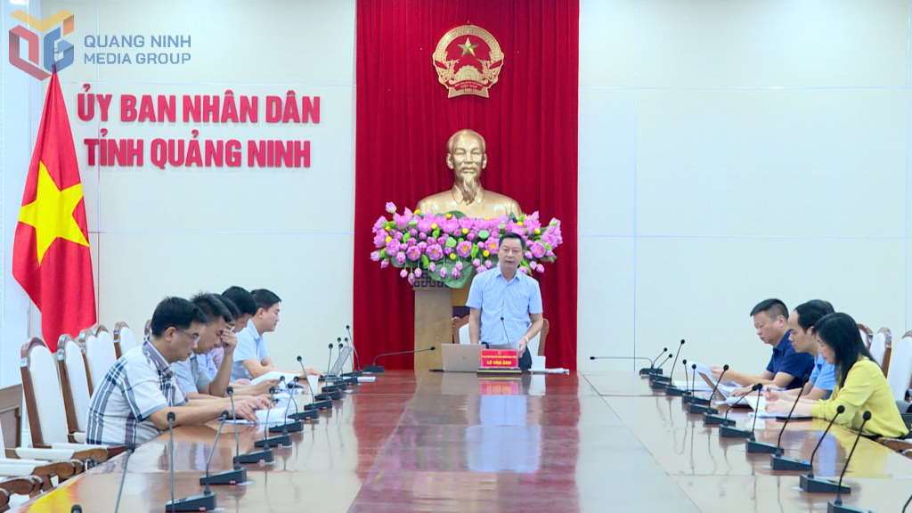 Đồng chí Lê Văn Ánh, Phó Chủ tịch UBND tỉnh phát biểu kết luận tại cuộc họp.
