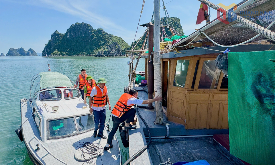 Lực lượng chức năng kiểm tra các phương tiện neo đậu tại khu tránh trú bão cảng Cái Rồng (đặc khu Vân Đồn).