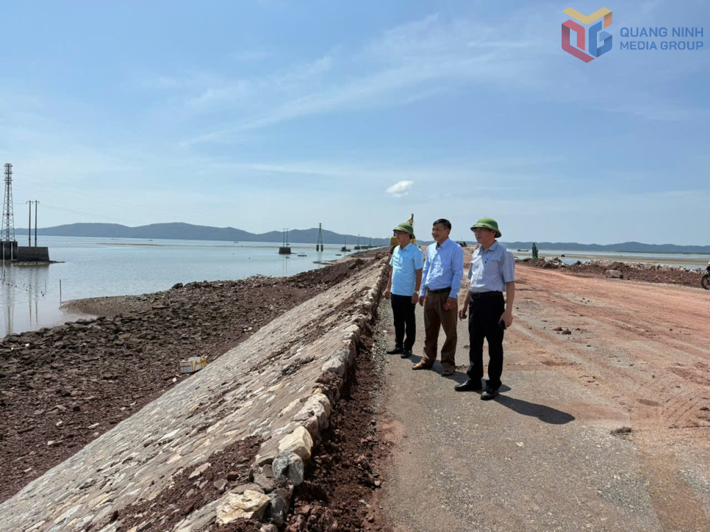 Lãnh đạo phường Móng Cái 2 kiểm tra công tác đảm bảo an toàn đối với dự án đường ra cảng Vạn Ninh