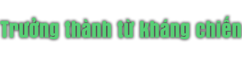 Ảnh trong văn bản