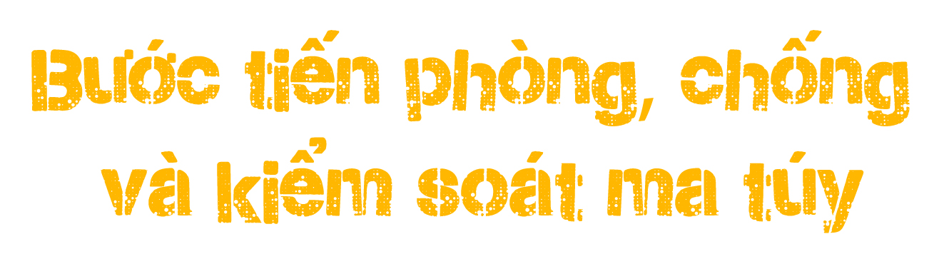 Ảnh trong văn bản