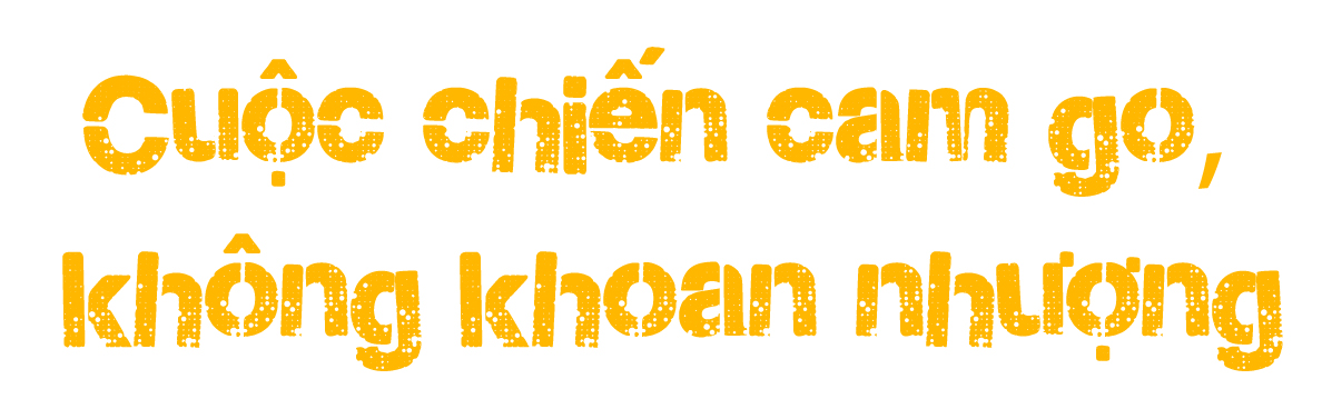 Ảnh trong văn bản