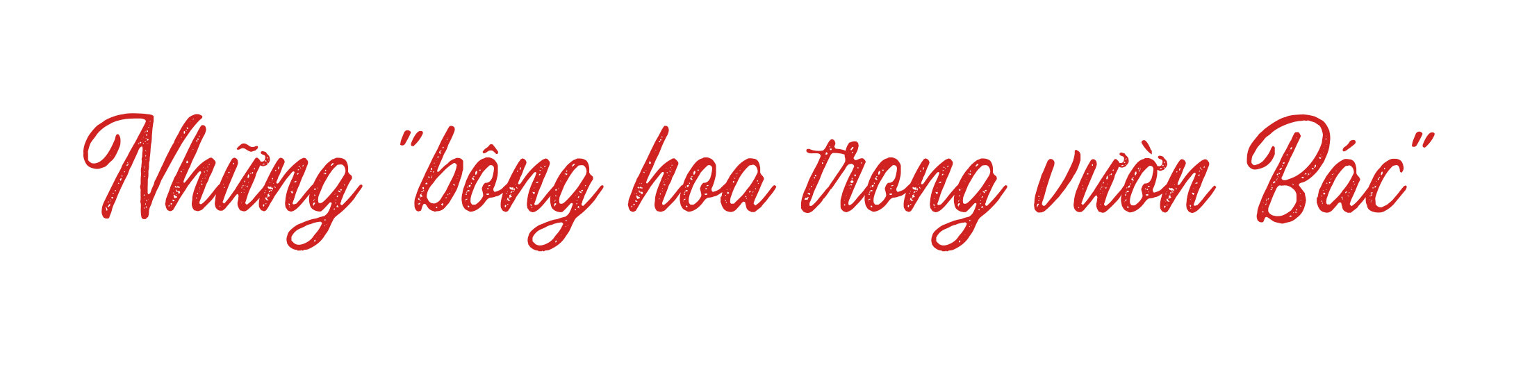 Ảnh trong văn bản