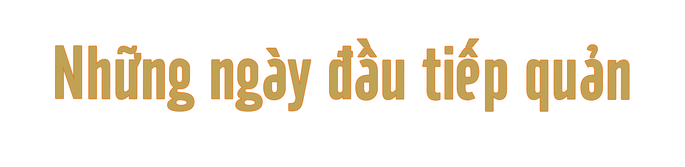 Ảnh trong văn bản