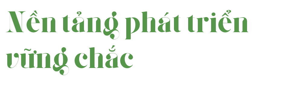Ảnh trong văn bản
