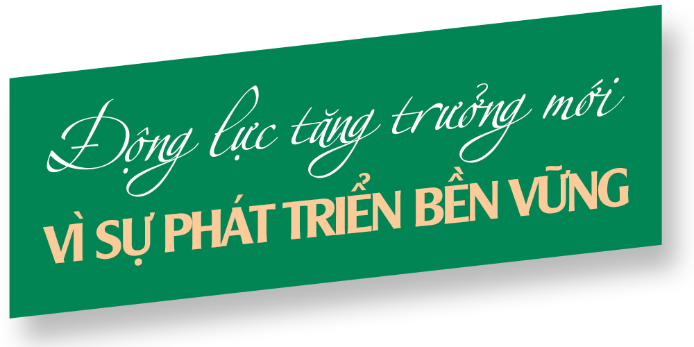 Ảnh trong văn bản