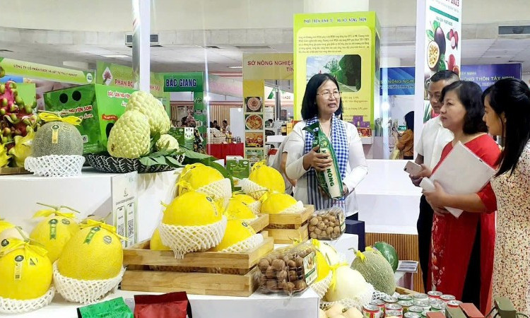 Tiềm năng phát triển mô hình hợp tác xã điện tử
