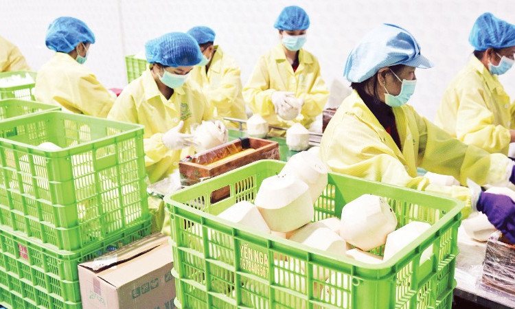 Chuyển hướng thị trường xuất khẩu nông sản