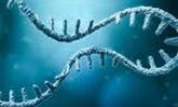 Hy vọng điều trị ung thư nhờ “virus ẩn” trong DNA người