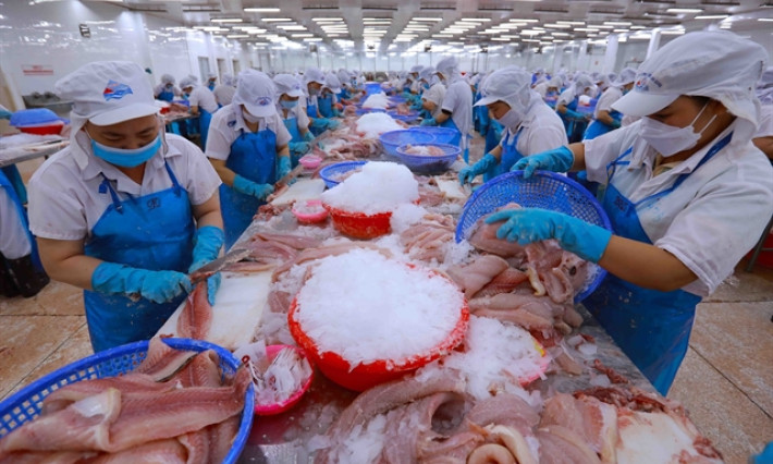 Exports: A journey of Việt Nam’s position growth, affirmation
