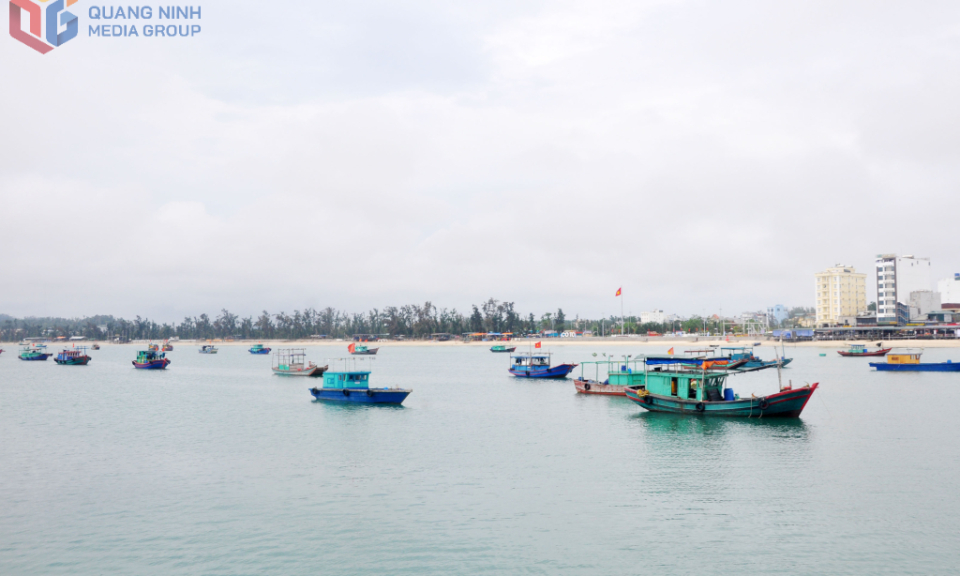 Hiện thực hóa mục tiêu phát triển đảo ngọc Cô Tô