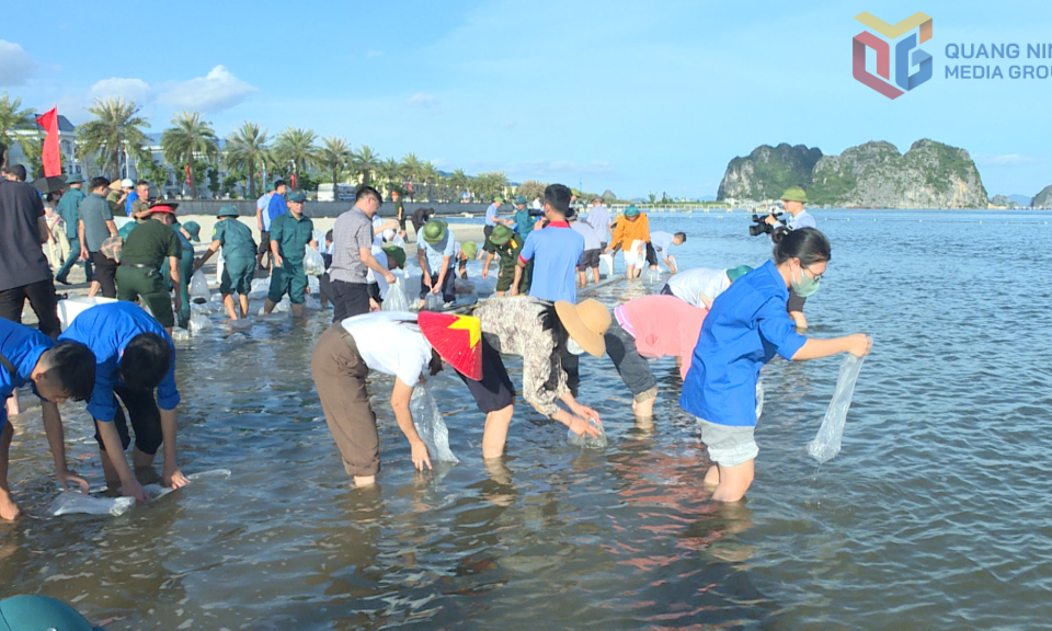 Quảng Ninh thả hơn 1 triệu con giống tái tạo nguồn lợi thuỷ sản 