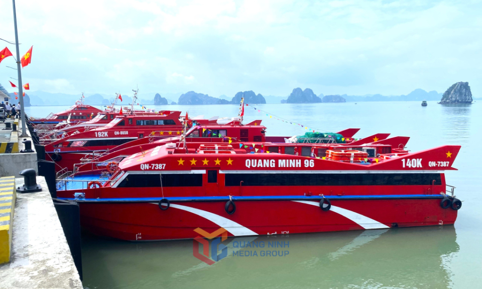 Tạm ngừng cấp phép tàu tại khu vực biển miền Đông của tỉnh