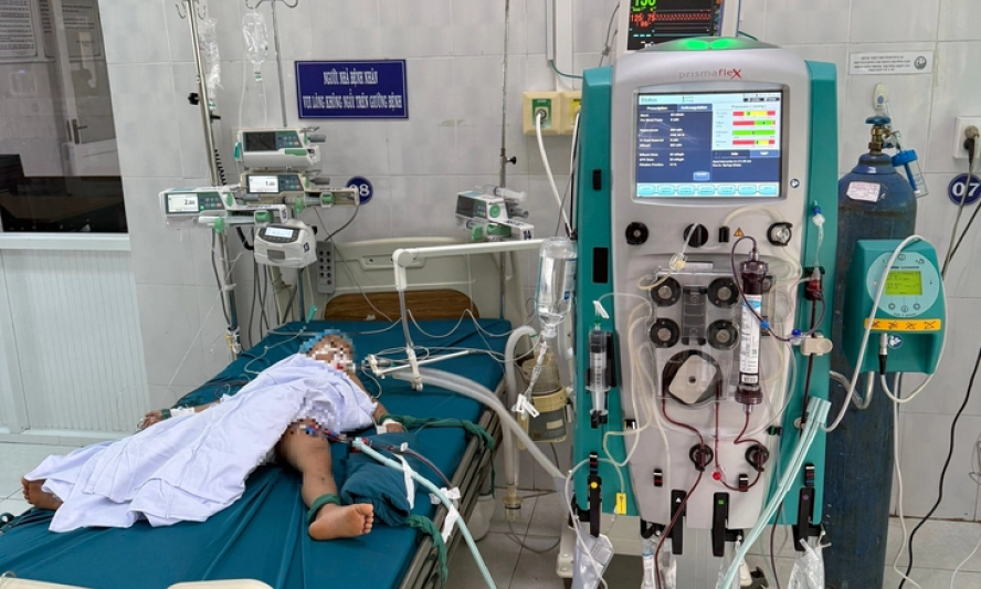 3 trẻ tại Gia Lai bị ong vò vẽ đốt, 1 cháu tử vong