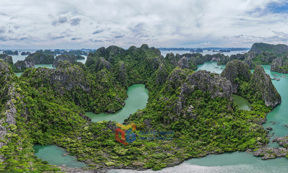 Ha Long Bay -  Nature’s living symphony