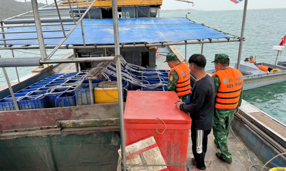 Ứng phó với tác động từ biến đổi khí hậu