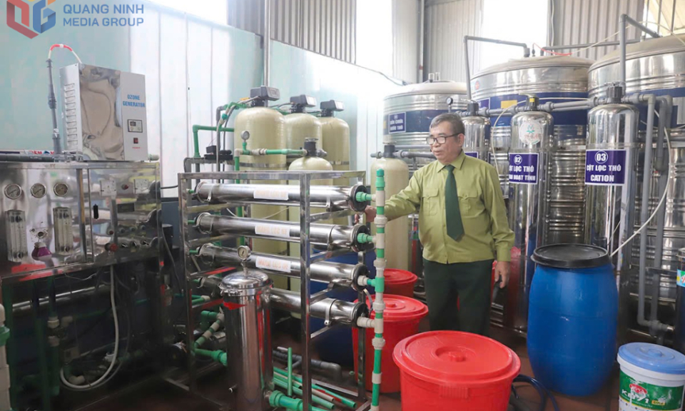 CCB gương mẫu trong phát triển kinh tế