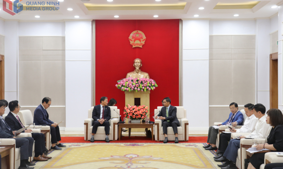 Phó Chủ tịch Thường trực UBND tỉnh tiếp và làm việc với Hiệp hội Doanh nghiệp Hàn Quốc tại Việt Nam