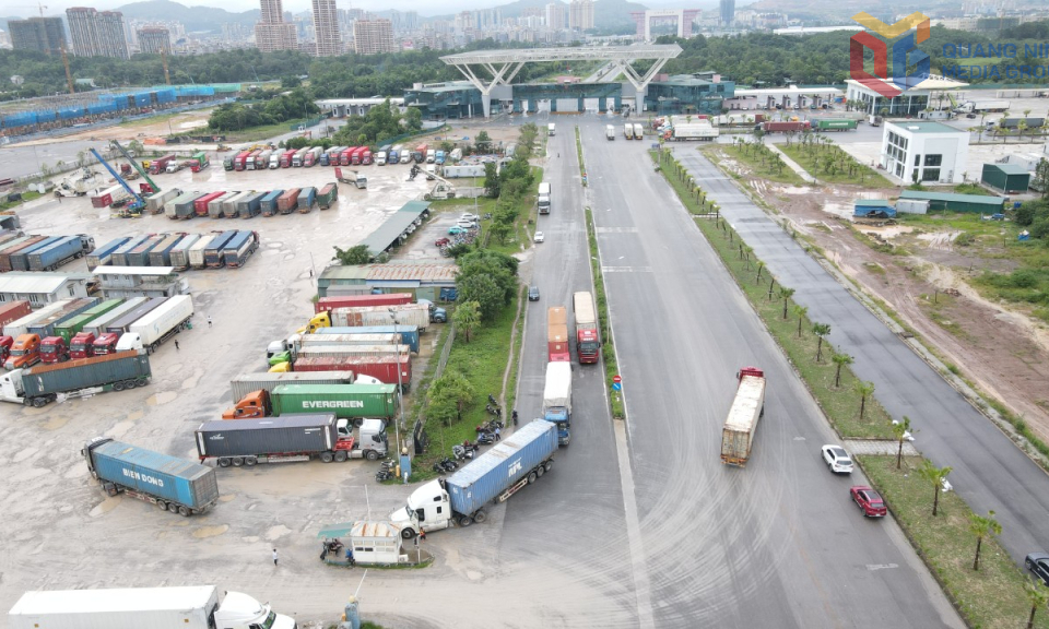 Phường Móng Cái 1: Phát huy lợi thế thương mại biên giới chính ngạch gắn với dịch vụ logistics