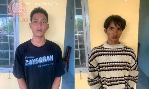 Hai thanh niên cướp giật điện thoại của người chăn bò ra đầu thú