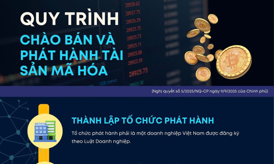 Chi tiết về quy trình chào bán và phát hành tài sản mã hóa tại Việt Nam