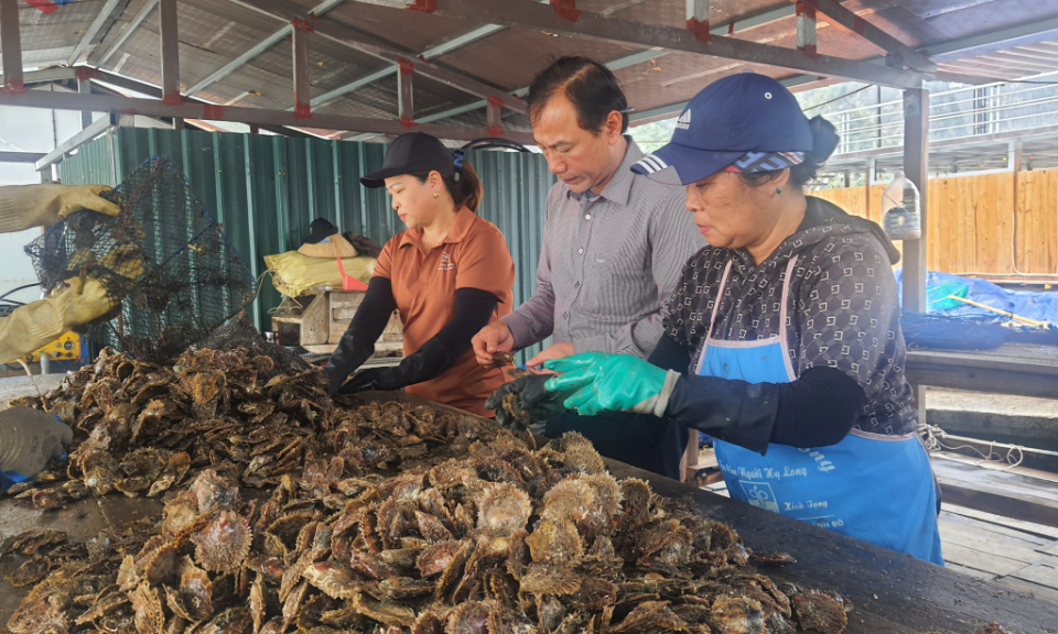 Phát triển kinh tế thuỷ sản bền vững